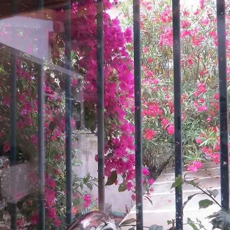 Villa Loft Lumineux Et Calme, Hyper Centre, 3 Chambres, 2 Patios, Garage Privatif Marseille
